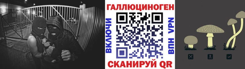 Галлюциногенные грибы Psilocybine cubensis hydra Новоалтайск